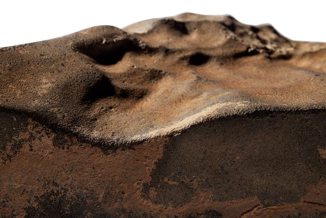 <p>The largest Martian meteorite ever found on Earth is being auctioned off later this month. It could fetch as much as $4 million</p>